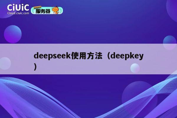 deepseek使用方法（deepkey） 第1张